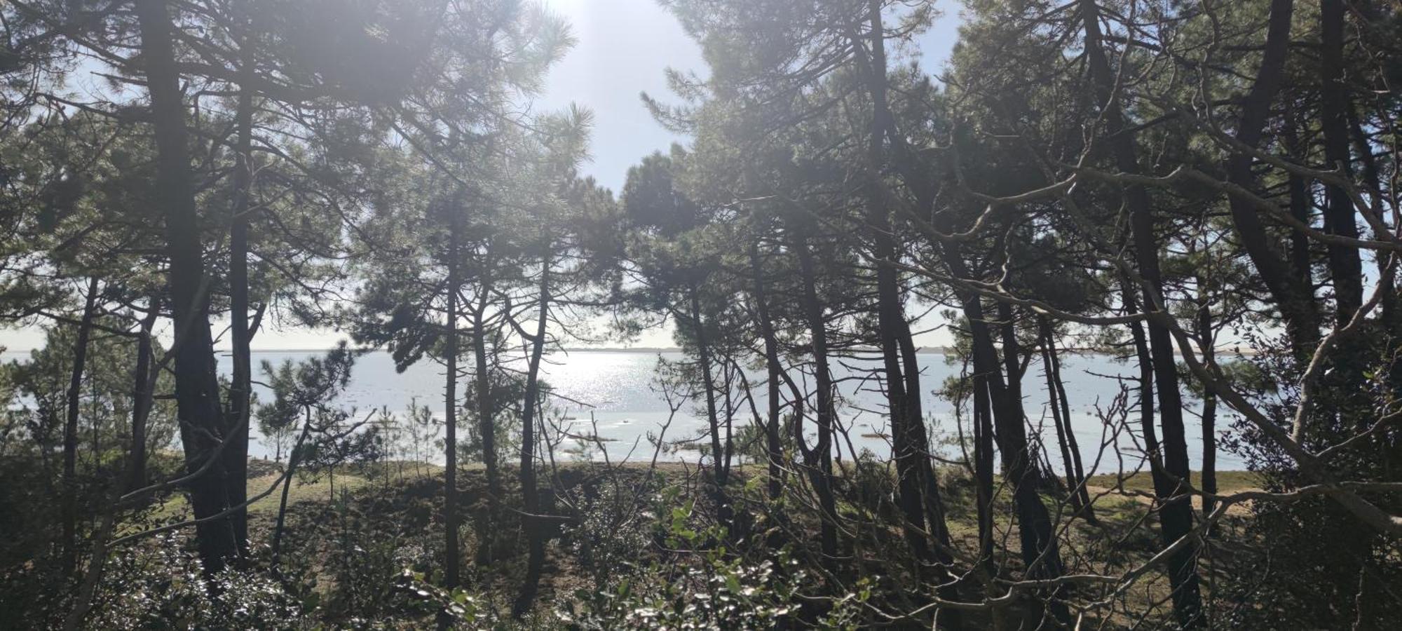 Mobil-Home - Camping Siblu Bonne Anse Plage 莱马特 外观 照片